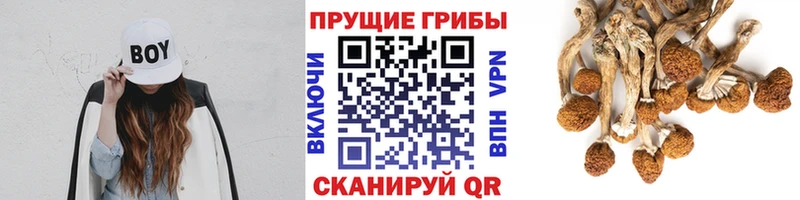 даркнет сайт МЕГА как войти Галлюциногенные грибы MAGIC MUSHROOMS Поронайск